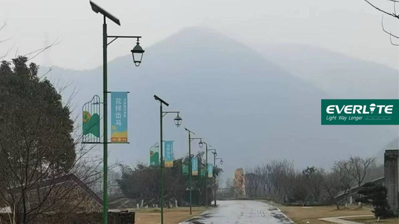 도시 조명은 거리, 공원, 역사적 공동체 등 도시별로 정의되는 경우가 많습니다.